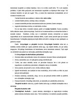 Referāts 'Bezdarbs', 6.