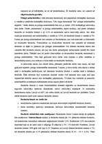 Referāts 'Bezdarbs', 8.