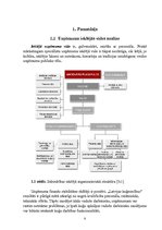 Referāts 'A/s "Latvijas kuģniecība" mārketinga vides un stratēģijas analīze, darbības plān', 5.
