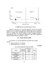 Referāts 'A/s "Latvijas kuģniecība" mārketinga vides un stratēģijas analīze, darbības plān', 16.