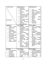 Referāts 'A/s "Latvijas kuģniecība" mārketinga vides un stratēģijas analīze, darbības plān', 25.