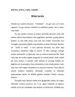 Referāts 'Nīderlande', 3.