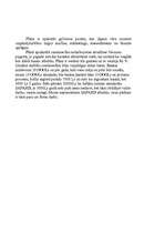 Biznesa plāns 'Biznesa plāns tūrisma informācijas pakalpojumu uzņēmumam', 3.