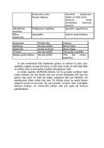 Biznesa plāns 'Biznesa plāns tūrisma informācijas pakalpojumu uzņēmumam', 13.