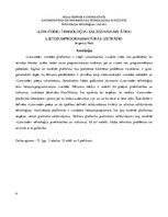 Diplomdarbs '"Low-code" tehnoloģiju salīdzinājums ātrai lietojumprogrammatūras izstrādei', 4.