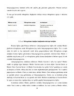 Diplomdarbs '"Low-code" tehnoloģiju salīdzinājums ātrai lietojumprogrammatūras izstrādei', 39.