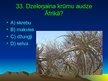 Prezentācija 'Tests - Āfrika', 34.