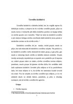 Referāts 'Cilvēku uzvedība grupā', 7.