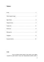 Konspekts 'Latvijas ostas', 2.