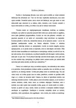 Referāts 'Interneta kultūra', 7.