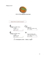 Referāts 'Ātruma mērīšana', 14.