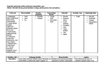 Prakses atskaite 'Prakses atskaite', 9.