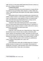 Referāts 'Pircēja lēmuma pieņemšanas process un to ietekmējošie faktori', 10.