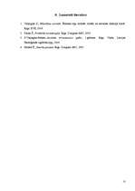 Referāts 'Ēteriskās eļļas vīrieša un sievietes intīmajā dzīvē', 10.