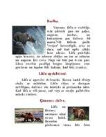 Referāts 'Brūnais lācis', 4.