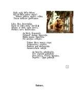 Referāts 'Brūnais lācis', 9.