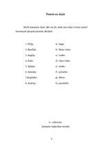 Referāts 'Multikulturālā izglītība', 6.