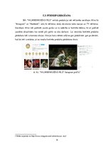 Referāts 'Klientu apkalpošanas prakses atskaite', 14.