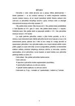 Referāts 'Cēsu pilsētas pašvaldības budžeta analīze', 4.