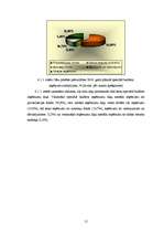 Referāts 'Cēsu pilsētas pašvaldības budžeta analīze', 15.
