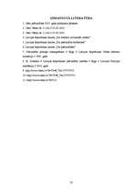 Referāts 'Cēsu pilsētas pašvaldības budžeta analīze', 20.