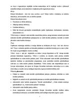 Prakses atskaite 'Personāla psiholoģijas prakses atskaite', 7.