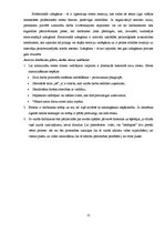 Prakses atskaite 'Personāla psiholoģijas prakses atskaite', 22.