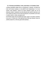 Prakses atskaite 'Biroja darba organizācija - atskaite', 20.