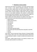 Prakses atskaite 'Biroja darba organizācija - atskaite', 22.