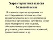 Prezentācija 'Деление бухгалтерских компьютерных программ по ценовому сегменту', 10.