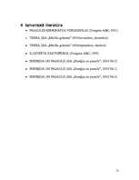 Referāts 'Enerģētika', 12.