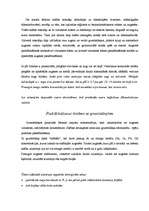 Referāts 'Vides paskābināšanās un ar to saistītās problēmas', 13.