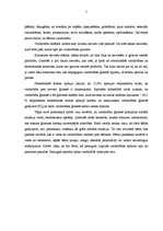 Referāts 'Atbalsta grupu nozīme darbā ar vardarbībā cietušām sievietēm', 5.