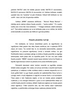 Konspekts 'Finanšu piramīdas', 2.