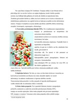 Konspekts 'Artrīts - slimība, kas jāārstē', 14.