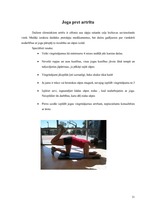 Konspekts 'Artrīts - slimība, kas jāārstē', 31.