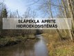 Prezentācija 'Slāpekļa aprite hidroekosistēmās', 1.