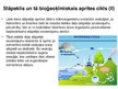Prezentācija 'Slāpekļa aprite hidroekosistēmās', 5.