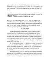 Referāts 'Valsts pazīmes', 5.