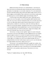 Referāts 'Valsts pazīmes', 10.