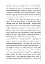 Referāts 'Policijas darbinieka ētikas kodekss', 9.