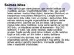 Prezentācija 'Bites', 10.