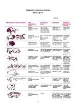 Referāts 'Vaiņodes medību kolektīva vēsture', 5.