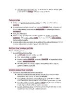 Konspekts 'Rietumeiropa viduslaiku otrajā pusē', 16.