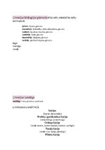 Konspekts 'Rietumeiropa viduslaiku otrajā pusē', 18.