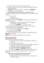 Konspekts 'Rietumeiropa viduslaiku otrajā pusē', 26.