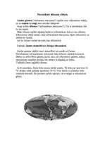 Konspekts 'Siltumnīcas efekts', 3.