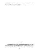 Referāts 'Latvijas konsolidētā budžeta deficīts', 9.