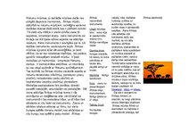 Konspekts 'Tradicionālā mūzika Āfrikā', 2.