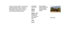 Konspekts 'Tradicionālā mūzika Āfrikā', 3.